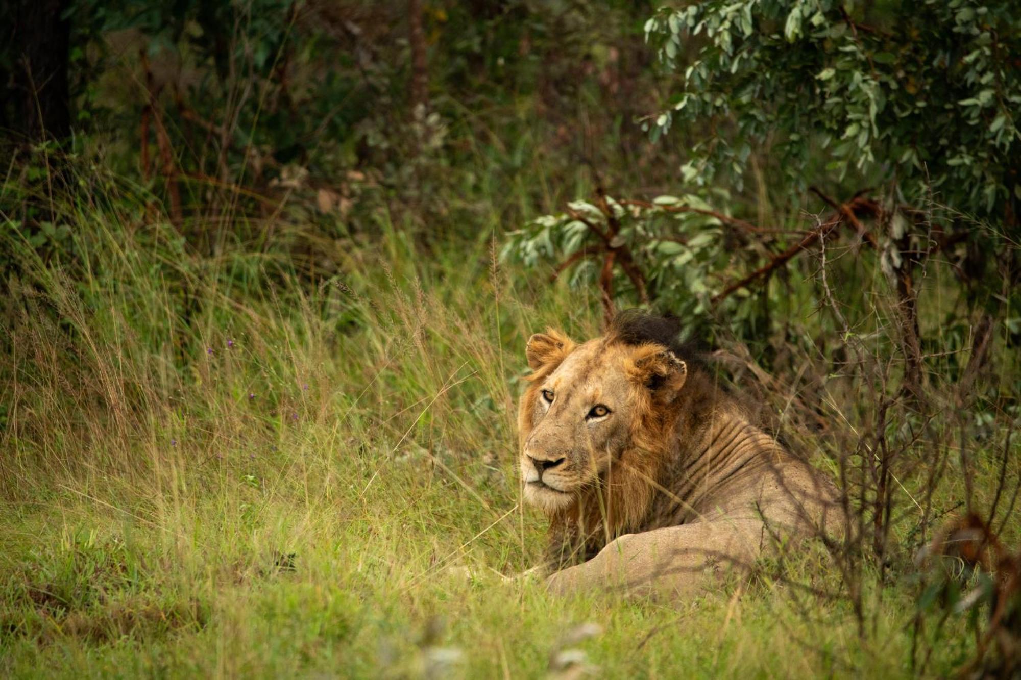 Aha Skukuza Safari Lodge Экстерьер фото