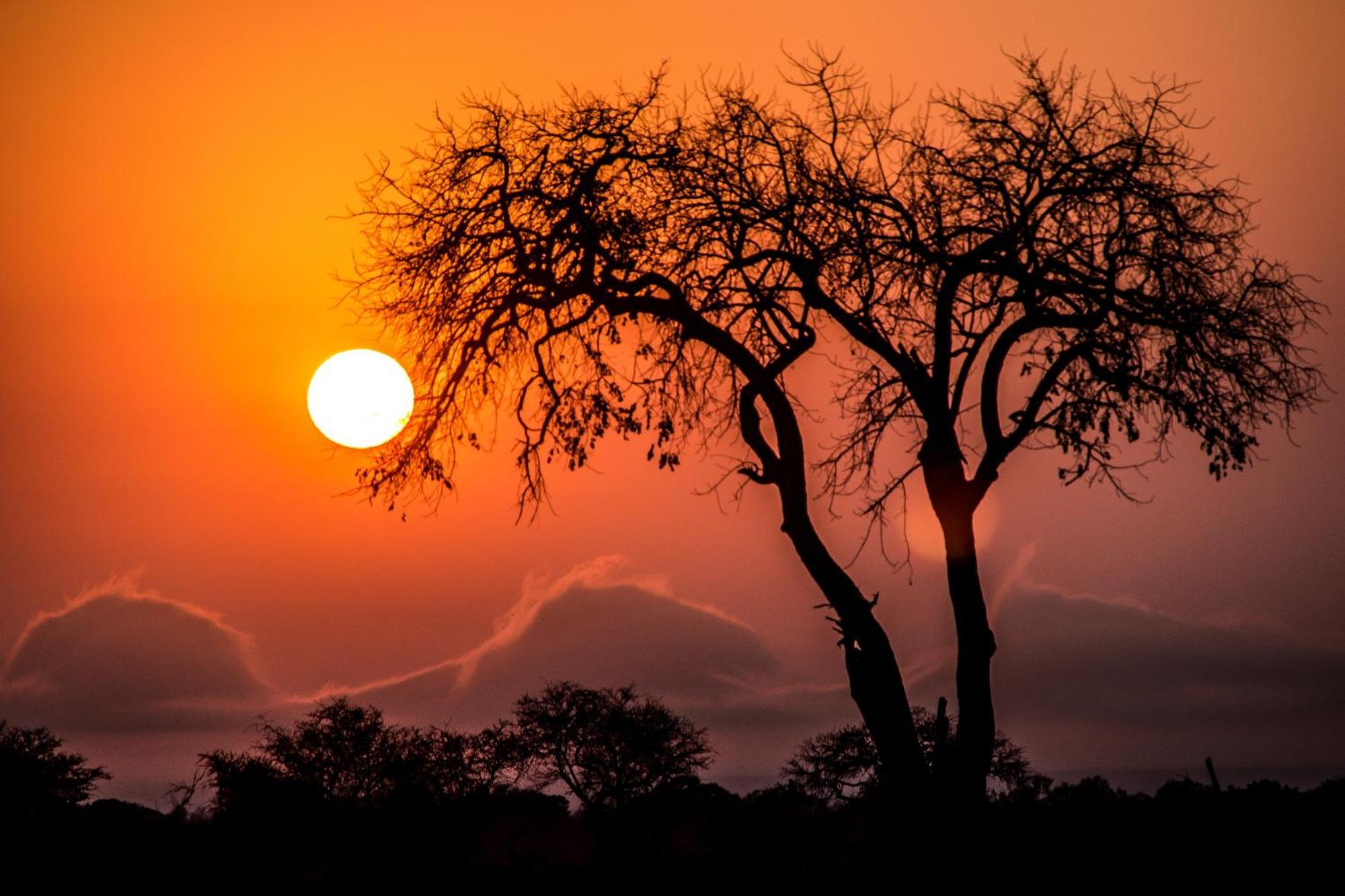 Aha Skukuza Safari Lodge Экстерьер фото